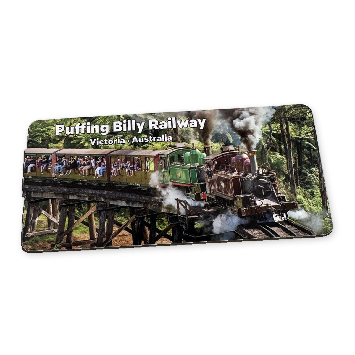Trestle Bridge - 3D Wooden Magnet (L)