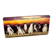 souvenir magnets