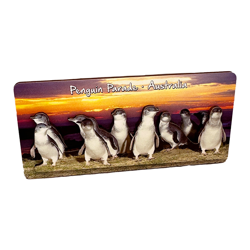souvenir magnets