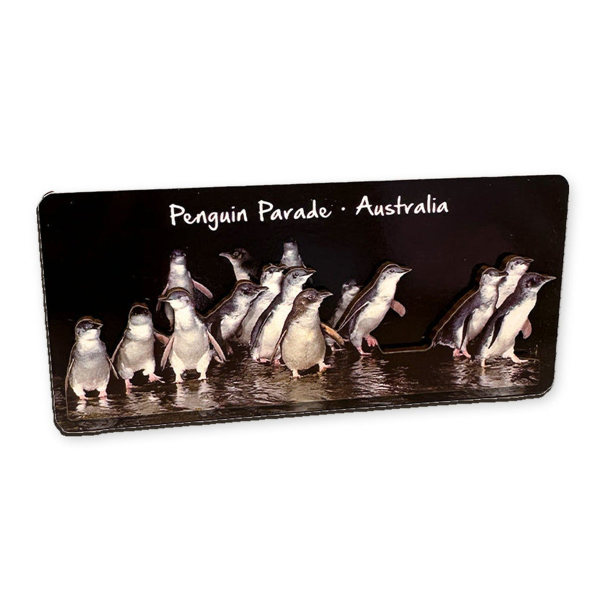 Penguin Parade Waters Edge – 3D Wooden Magnet (L)