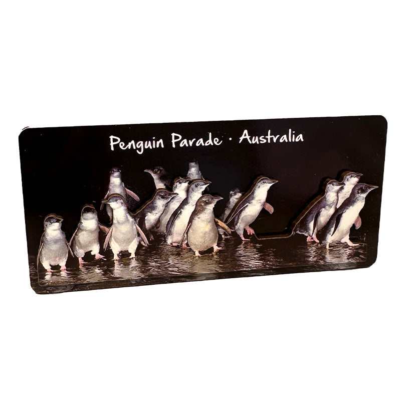 souvenir magnets