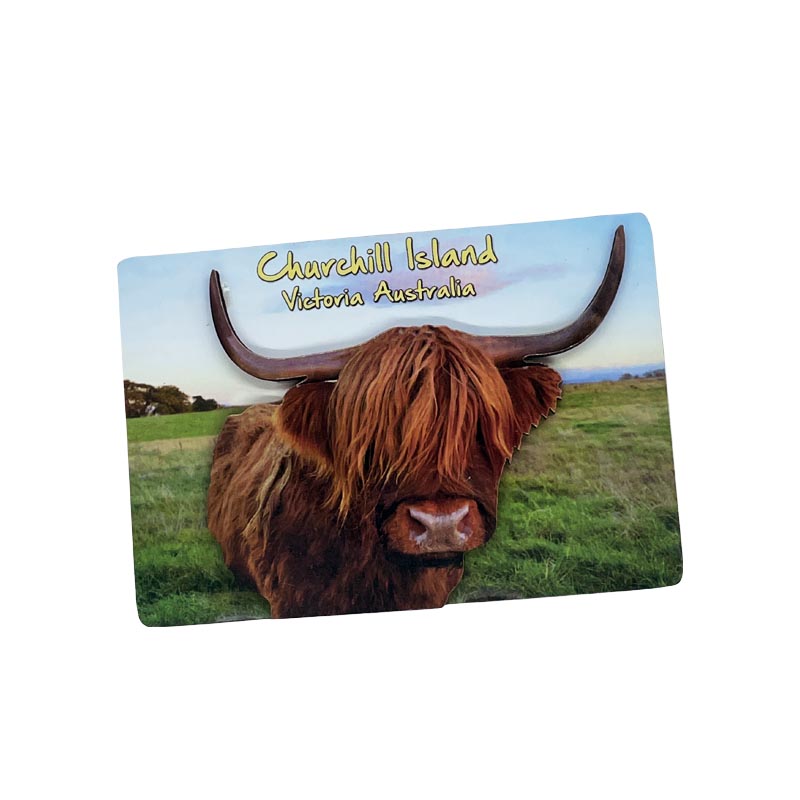 souvenir magnet