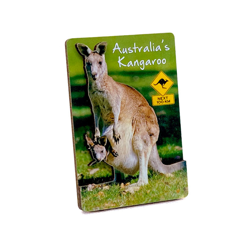 souvenir magnet