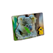 souvenir magnet