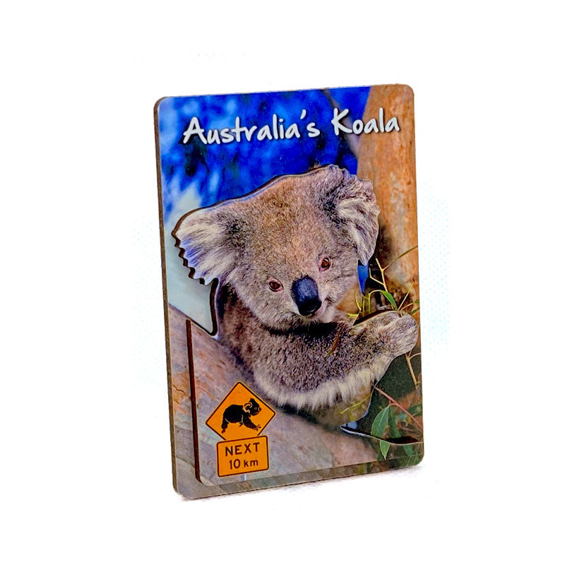 souvenir magnet