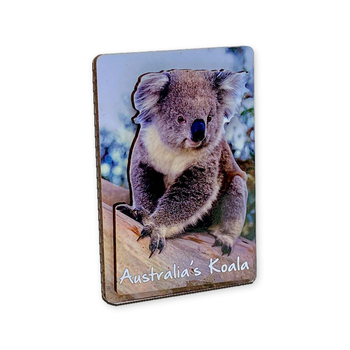 Single Koala - 3D Wooden Magnet (s)