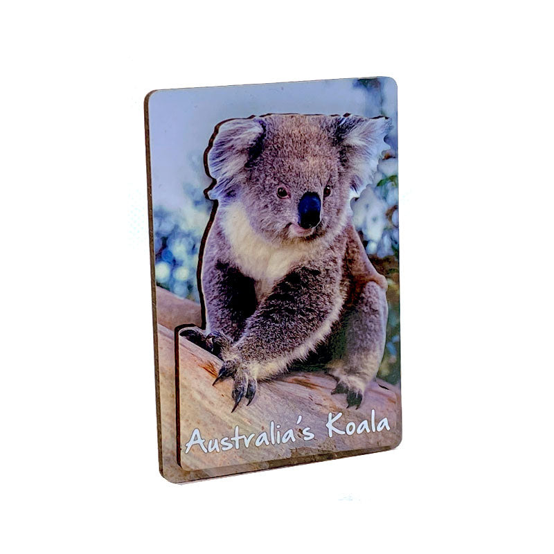 souvenir magnet