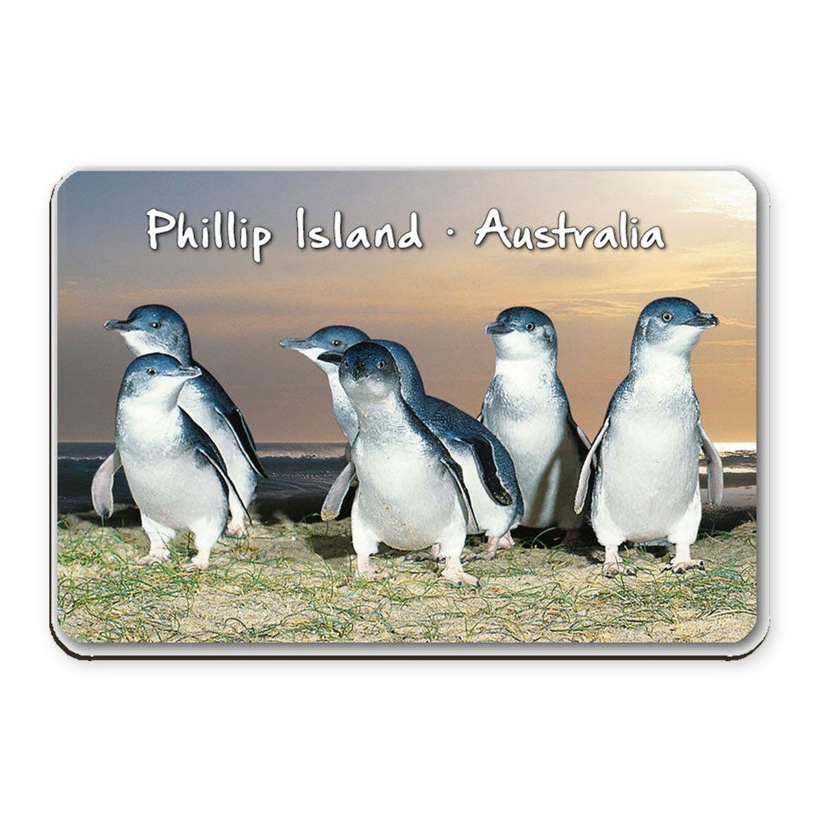 Penguin Dawn - 3D Wooden Magnet