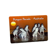 souvenir magnet