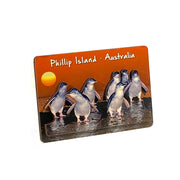 souvenir magnet