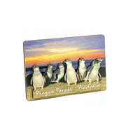 souvenir magnet
