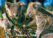 australian souvenir magnet