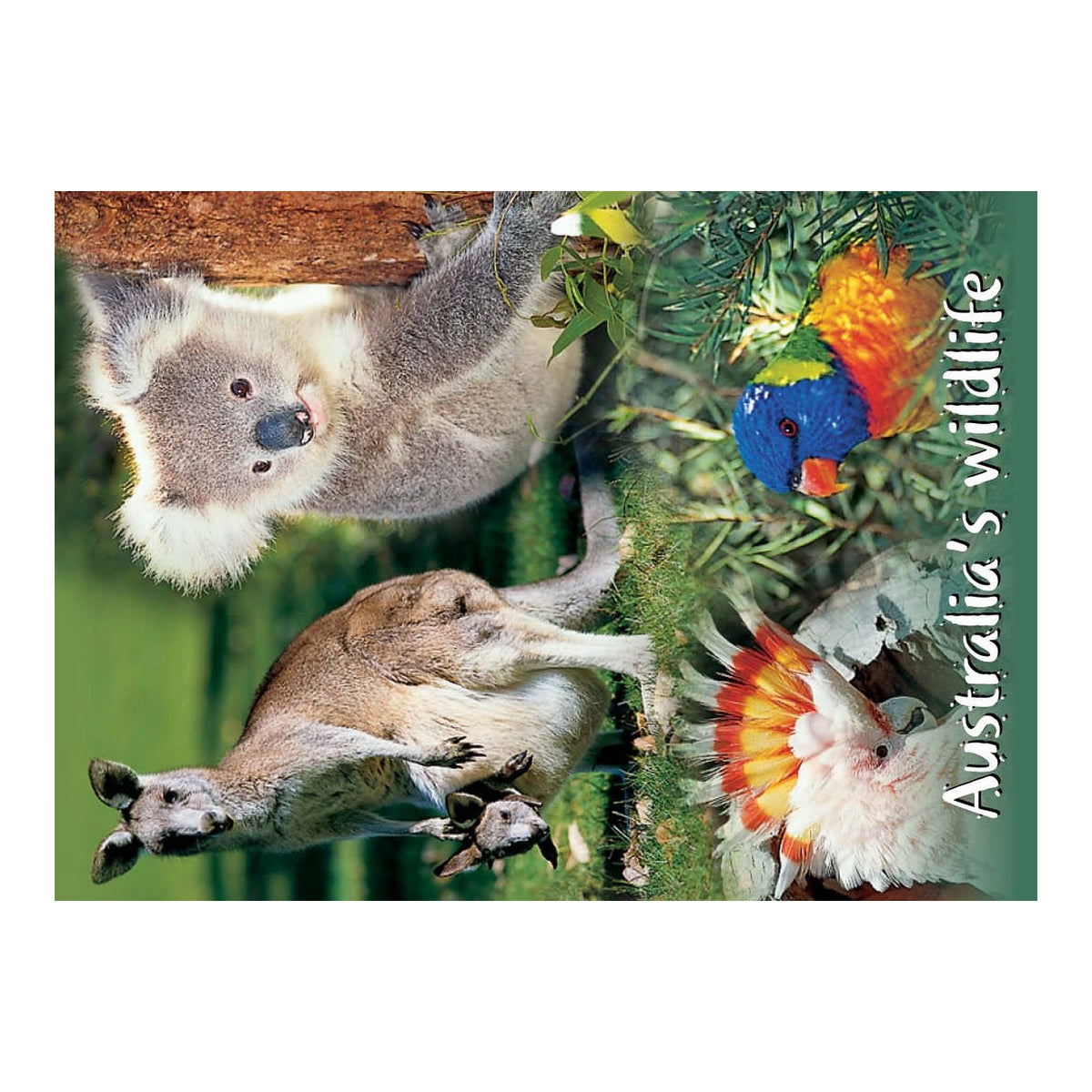 Wildlife merged - Metal Magnet