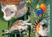 souvenir magnet