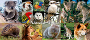 wholesale souvenirs australia
