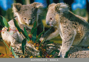 continental postcard