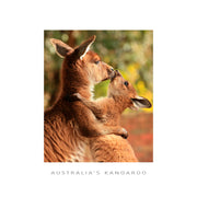 framer postcard