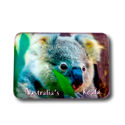 Koala eating - Glass Magnet