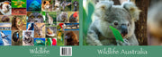 Wildlife book
