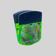 souvenir magnet