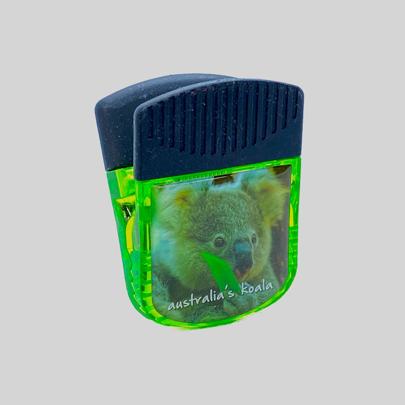 souvenir magnet