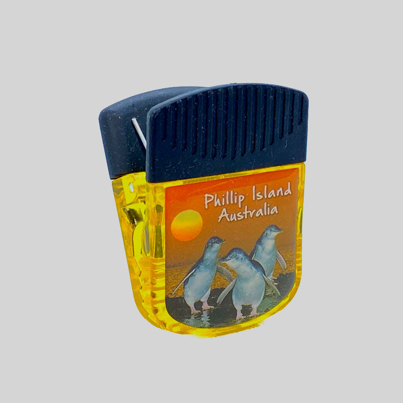 souvenir magnet