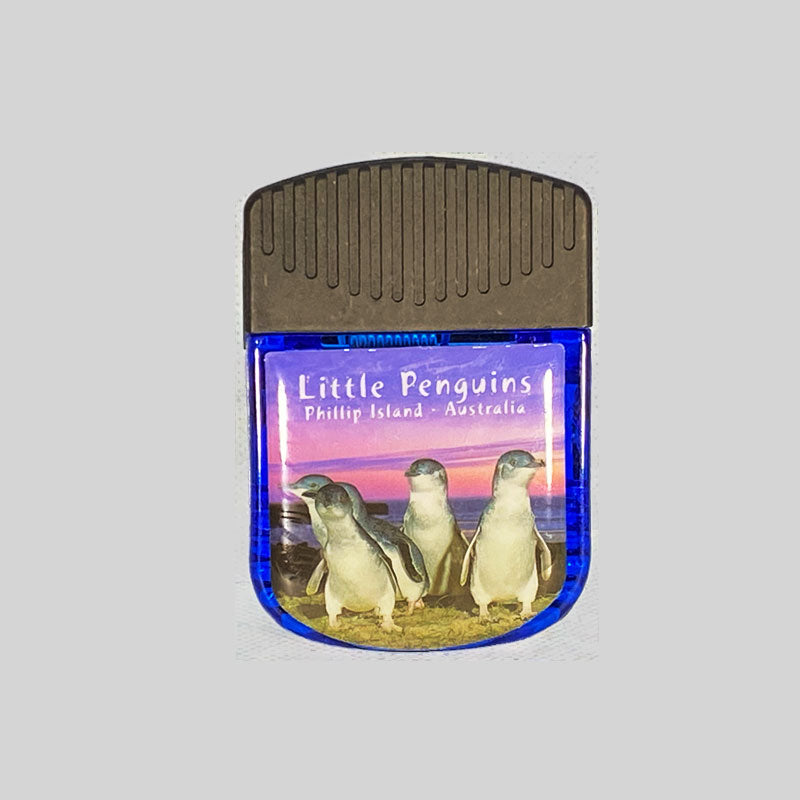 souvenir magnet