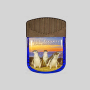 souvenir magnet