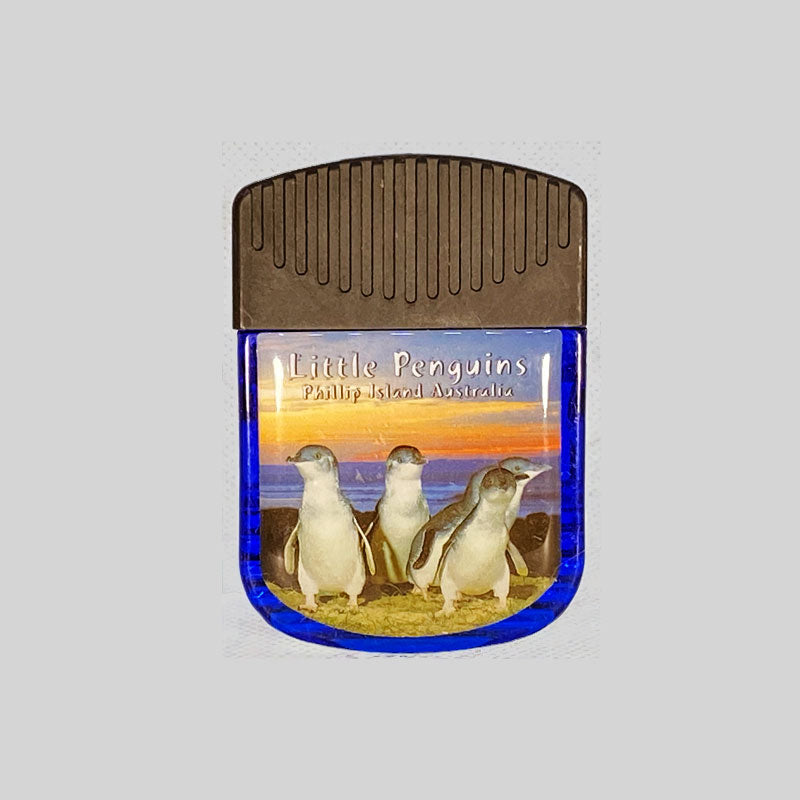 souvenir magnet