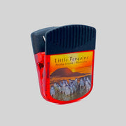 souvenir magnet