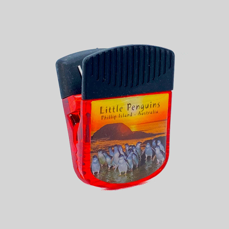 souvenir magnet
