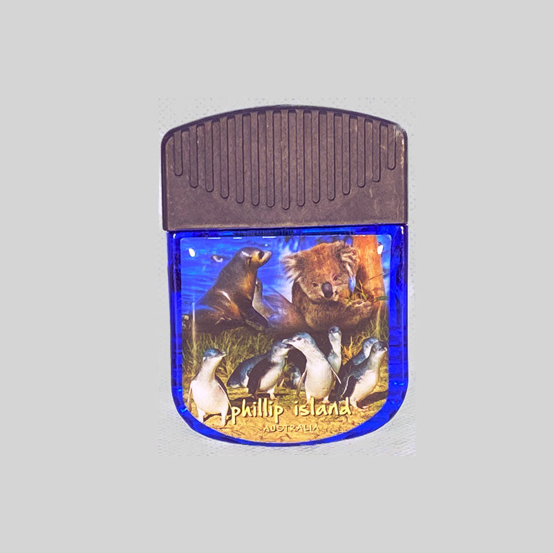 souvenir magnet