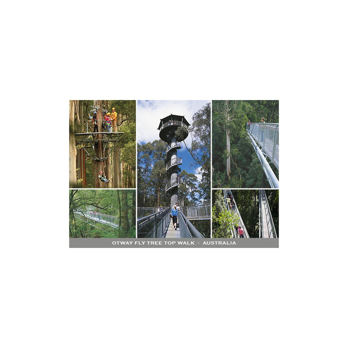 Otway Fly - 5 Scene - Continental Postcard