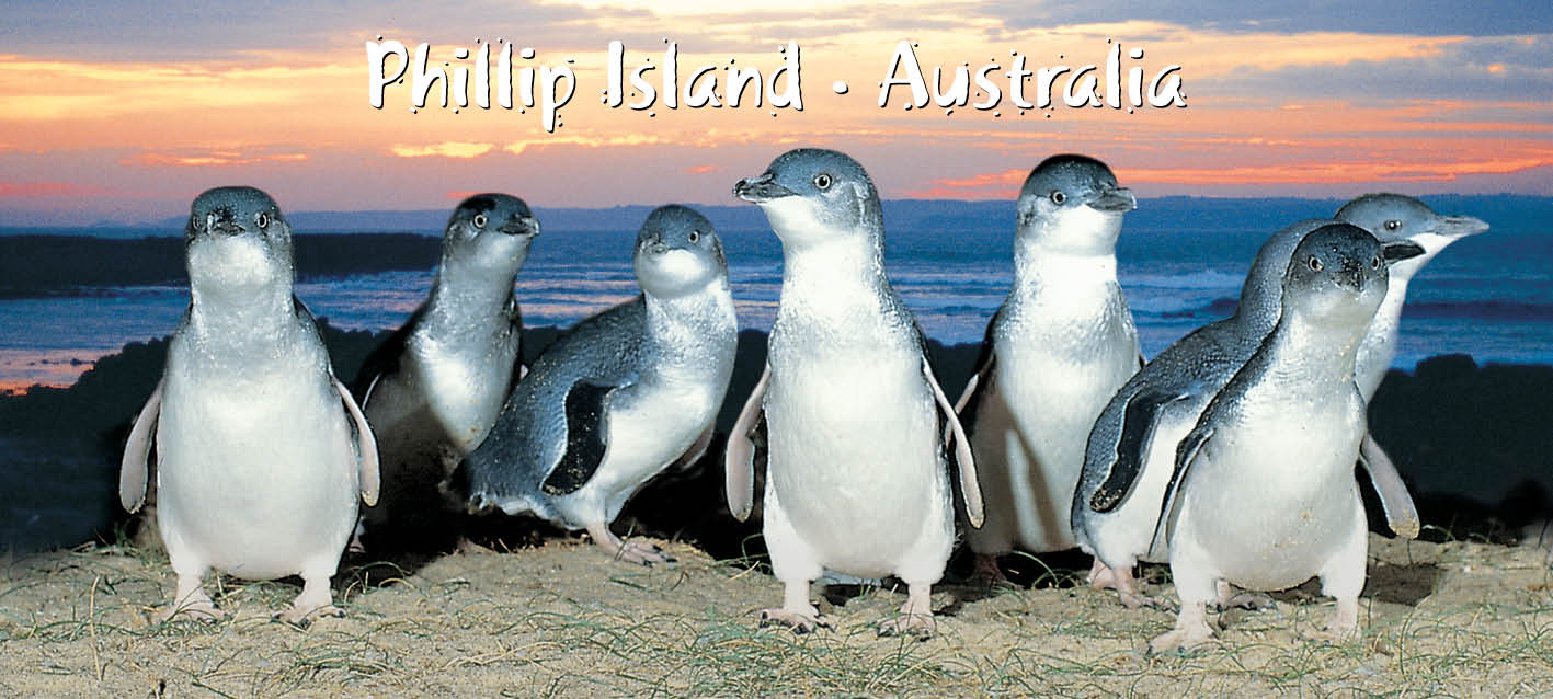 wholesale souvenirs australia