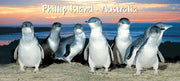 wholesale souvenirs australia