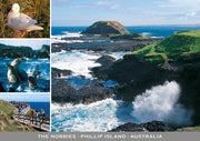 postcard
