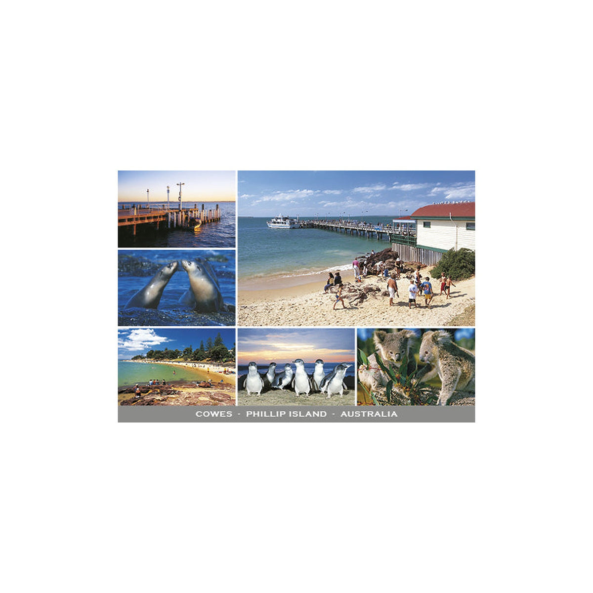 Cowes - Continental Postcard
