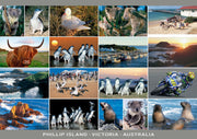 continental postcard