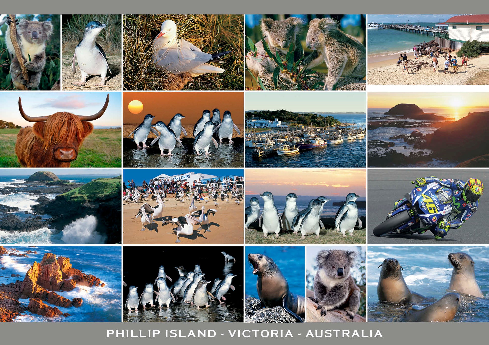 continental postcard