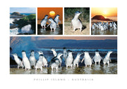 postcard