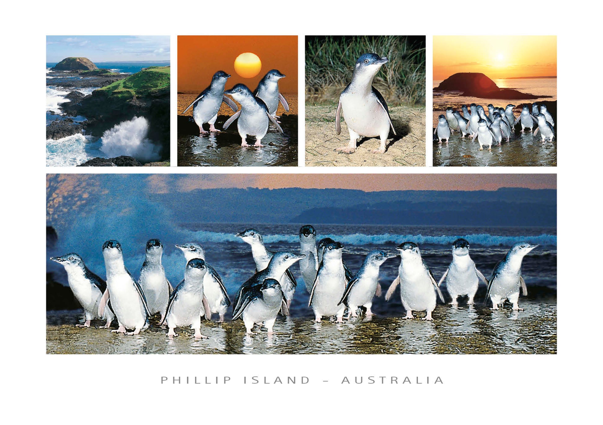 postcard