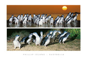 postcard