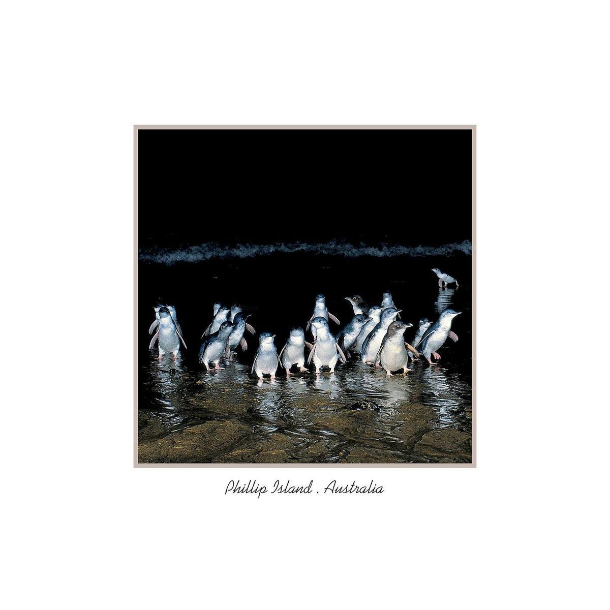 Waters edge - Square Framer Postcard
