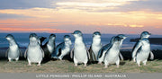 panoramic postcard