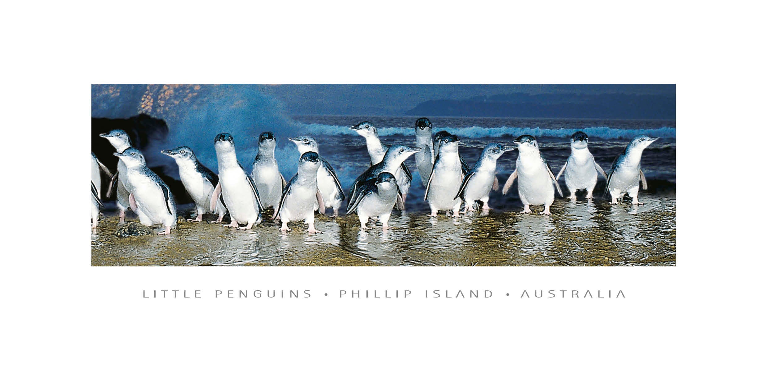 panoramic postcard