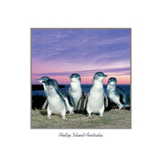framer postcard