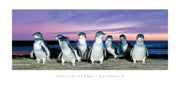 Phillip Island Purple Sunset - Panoramic Framer
