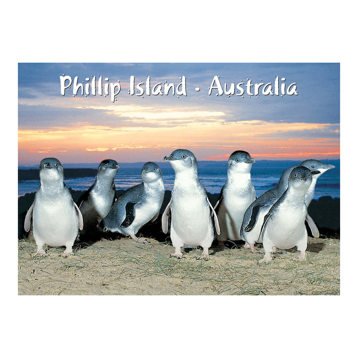 Phillip Island sunset - Metal Magnet
