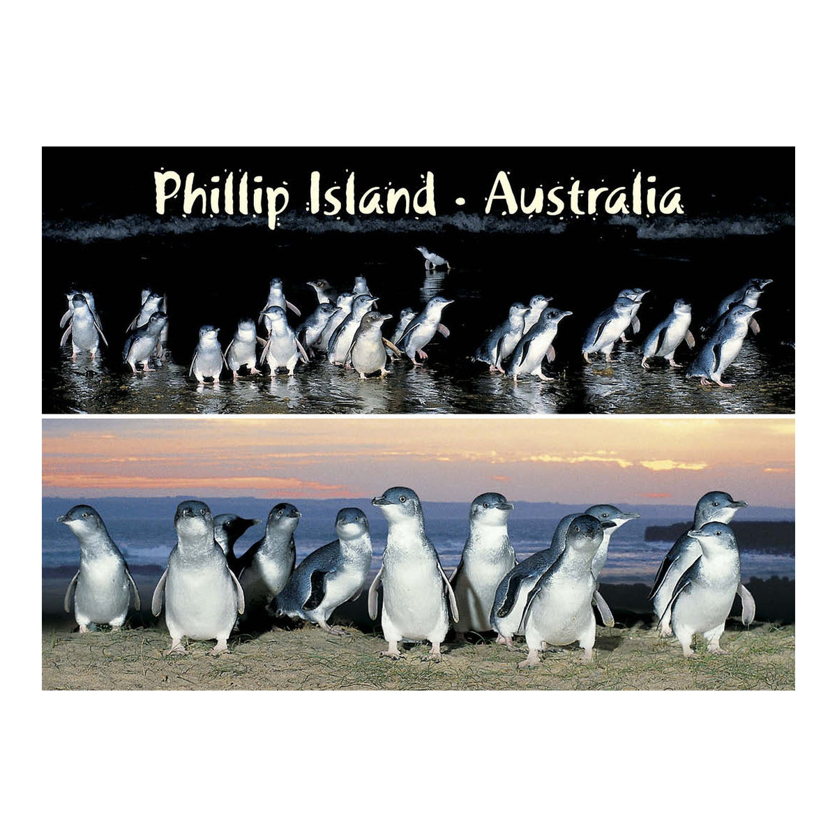 Penguins 2 scene - Waters edge & sunset