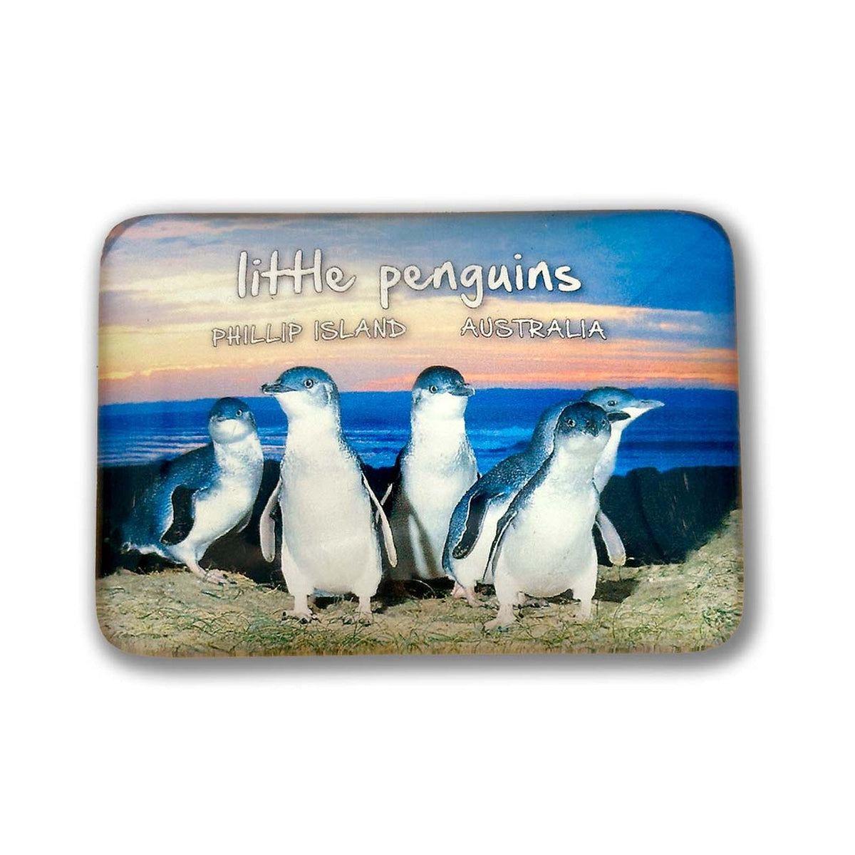 Penguins at Sunset – Glass Magnet
